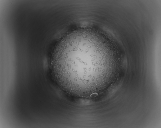X0000100760272200806261611