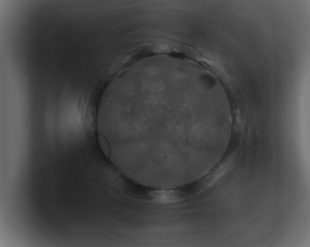 X0000100760273200806261611