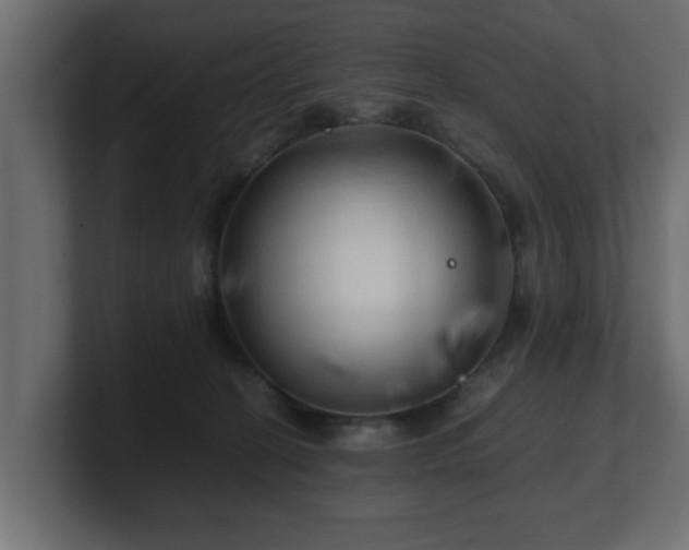 X0000100760274200806261611