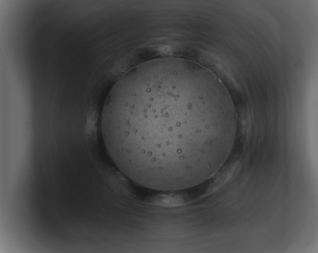 X0000100760275200806261611