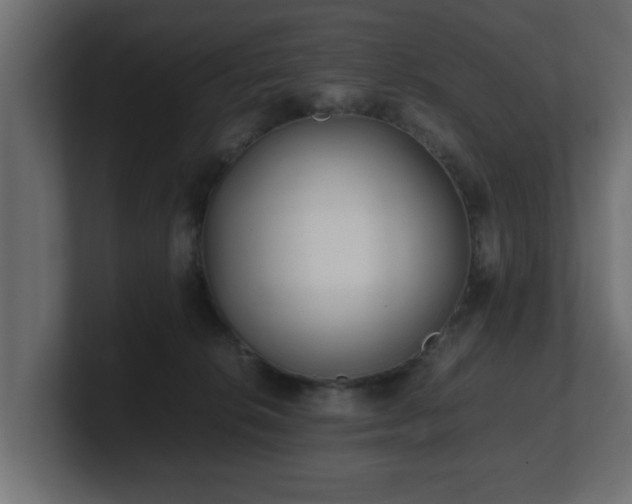 X0000100760276200806261611