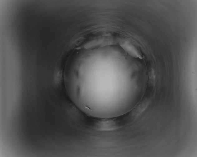 X0000100760278200806261611