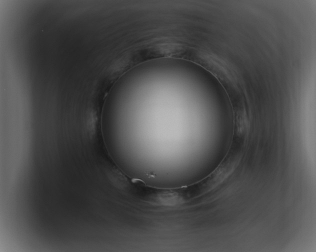 X0000100760279200806261611