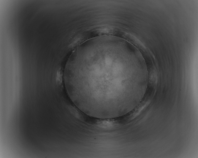 X0000100760282200806261611