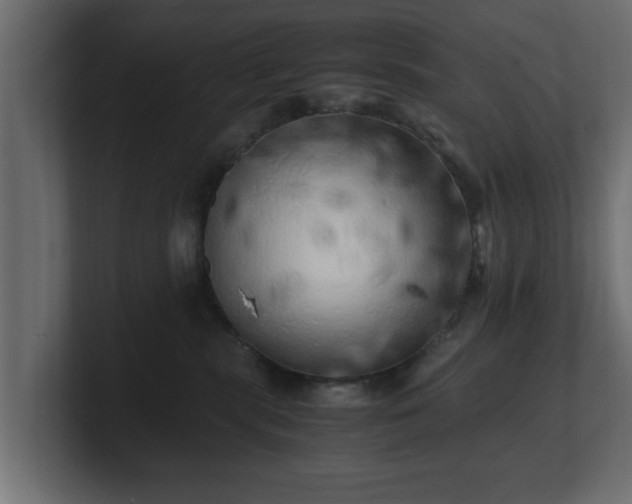 X0000100760283200806261611