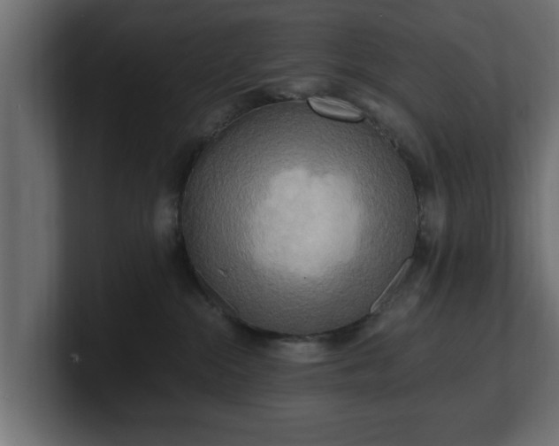 X0000100760284200806261611