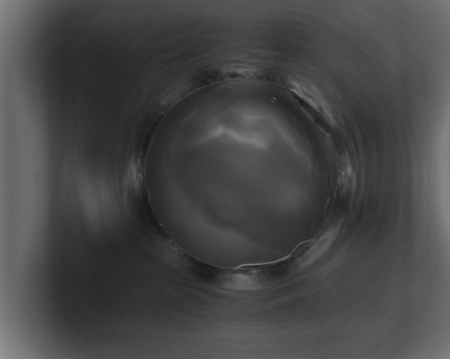 X0000100760285200806261611