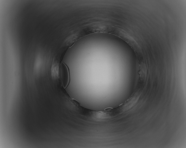 X0000100760287200806261611