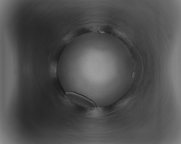 X0000100760288200806261611