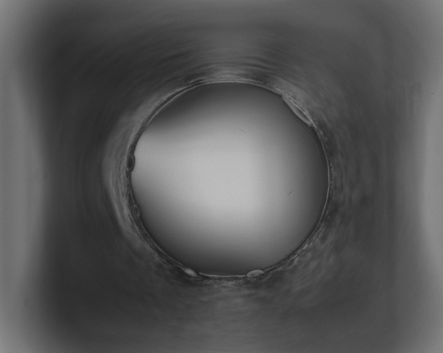 X0000100760289200806261610