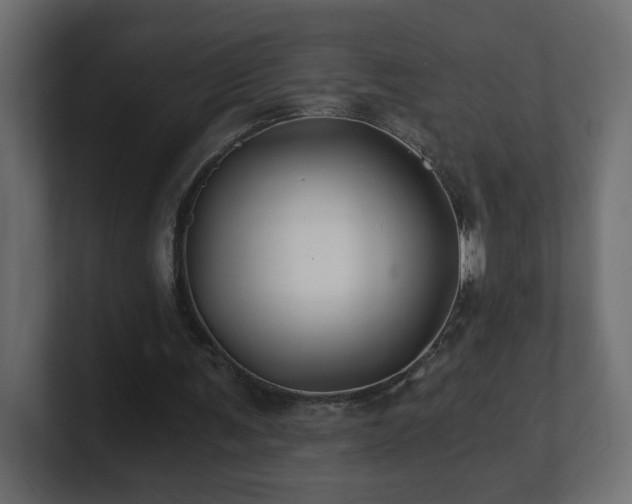 X0000100760291200806261610