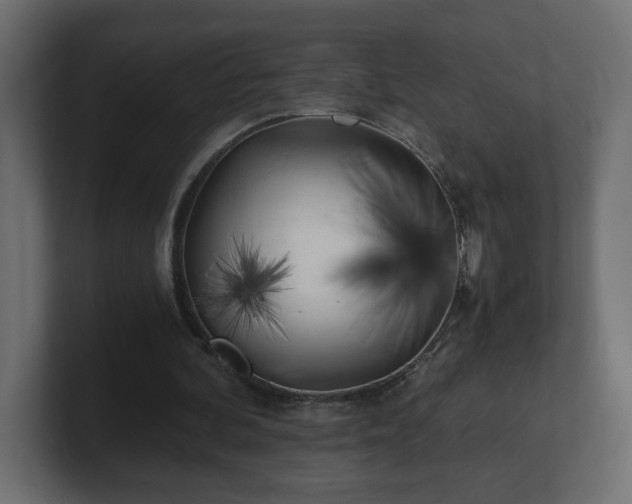 X0000100760292200806261610