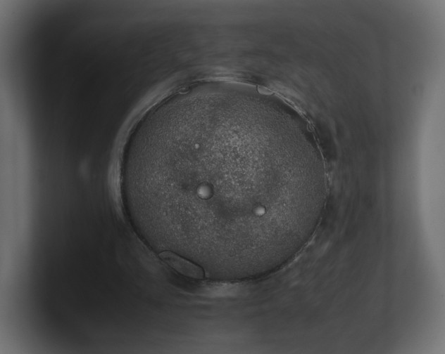 X0000100760293200806261610