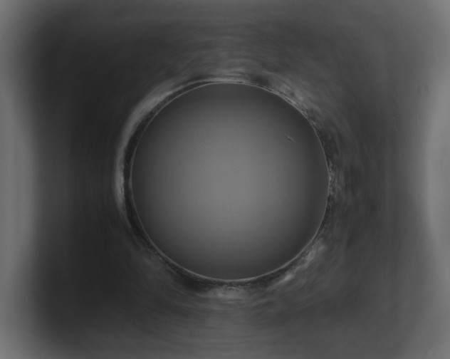 X0000100760294200806261610