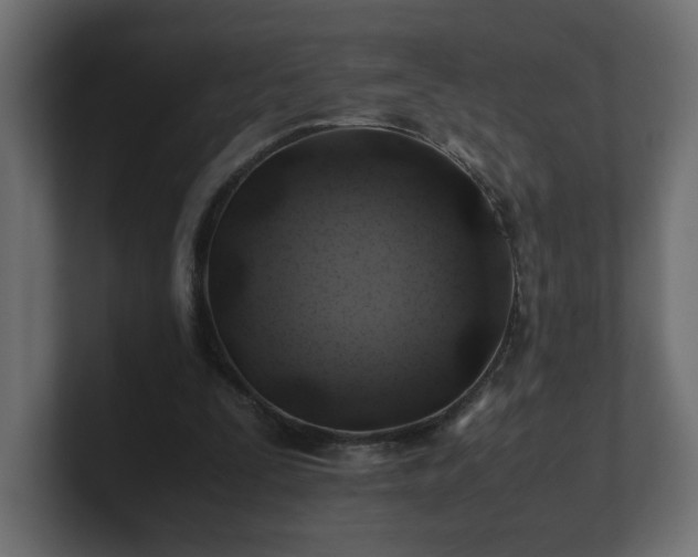 X0000100760295200806261610