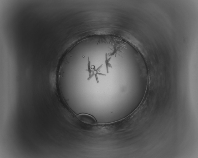 X0000100760297200806261610