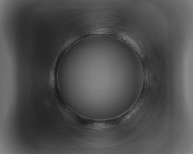 X0000100760298200806261610