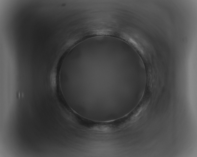 X0000100760299200806261610