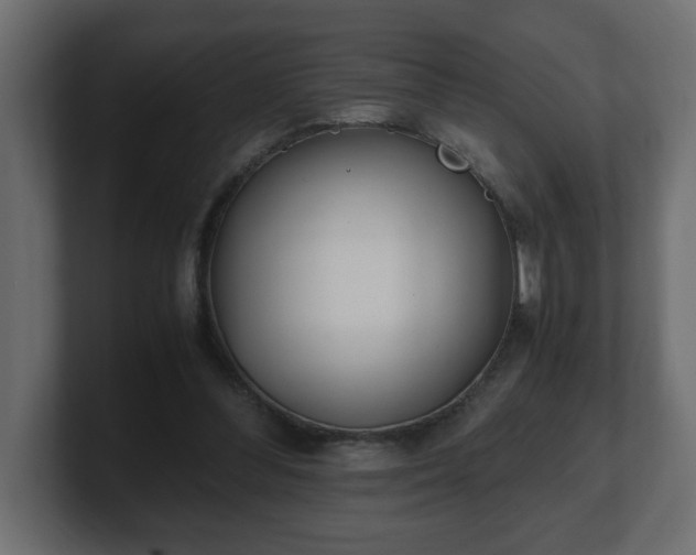 X0000100760300200806261610