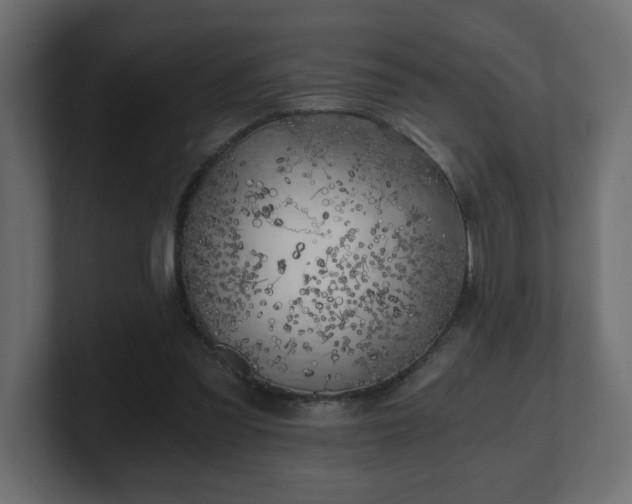 X0000100760301200806261610