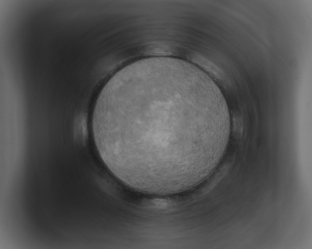 X0000100760302200806261610