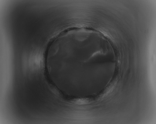 X0000100760303200806261610