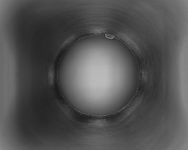 X0000100760304200806261610