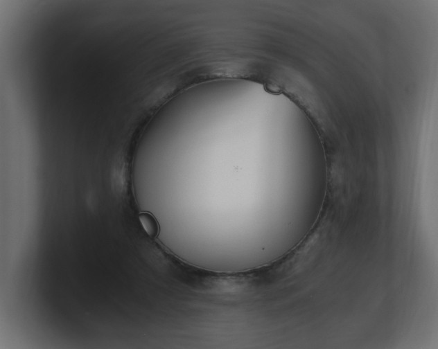 X0000100760305200806261610