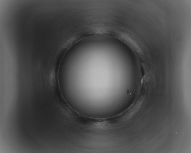 X0000100760306200806261610