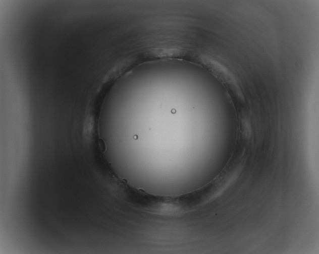 X0000100760308200806261610