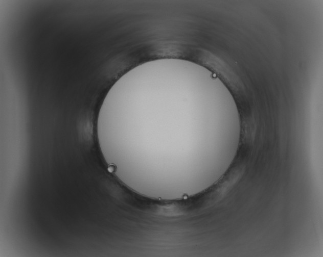 X0000100760309200806261610