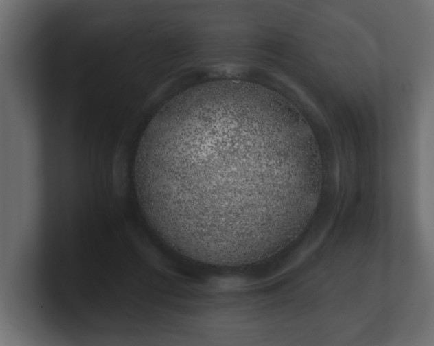 X0000100760312200806261610