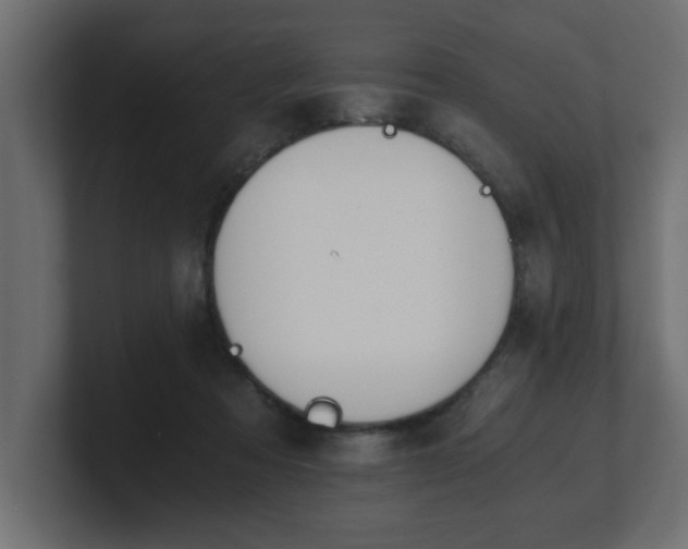 X0000100760313200806261610