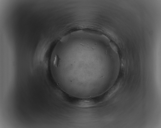 X0000100760315200806261610