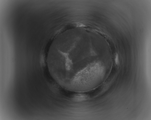 X0000100760316200806261610