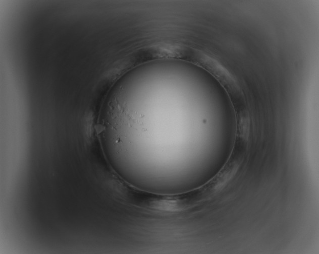 X0000100760318200806261610