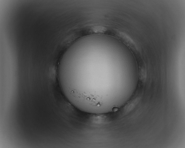 X0000100760321200806261610