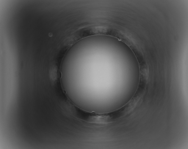 X0000100760323200806261610