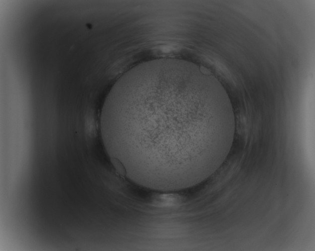 X0000100760324200806261610