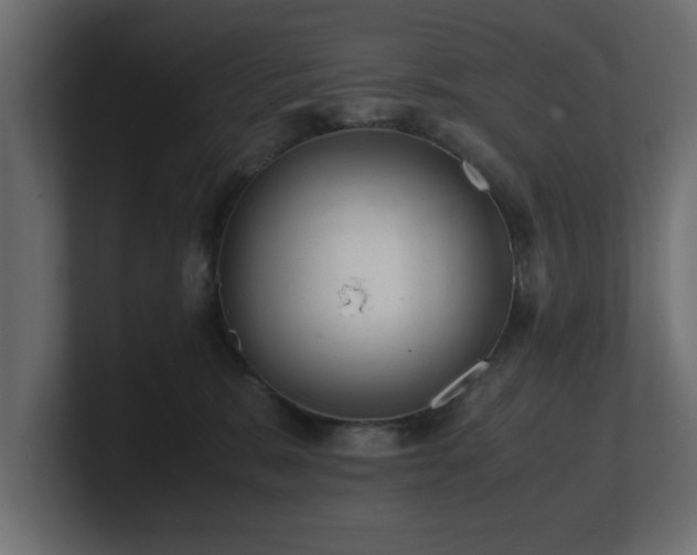 X0000100760327200806261610