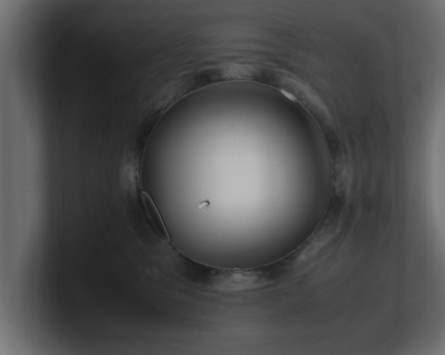 X0000100760329200806261610