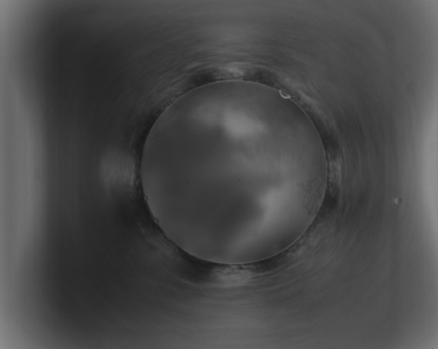 X0000100760331200806261610