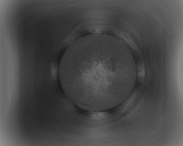 X0000100760332200806261610