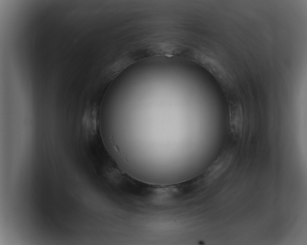 X0000100760334200806261610