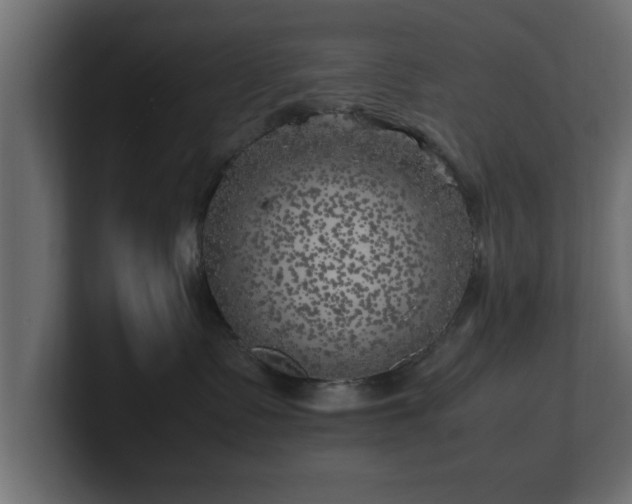 X0000100760335200806261610