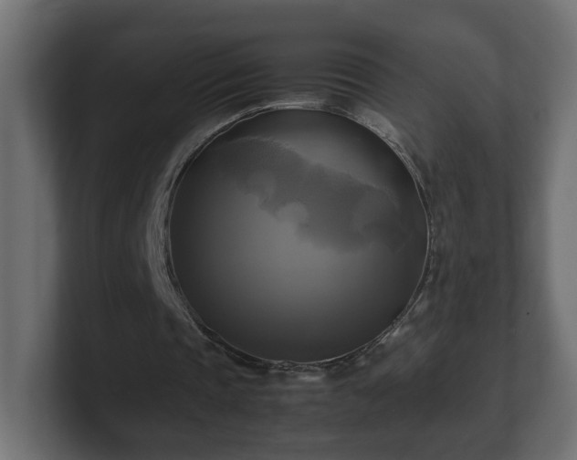 X0000100760337200806261609