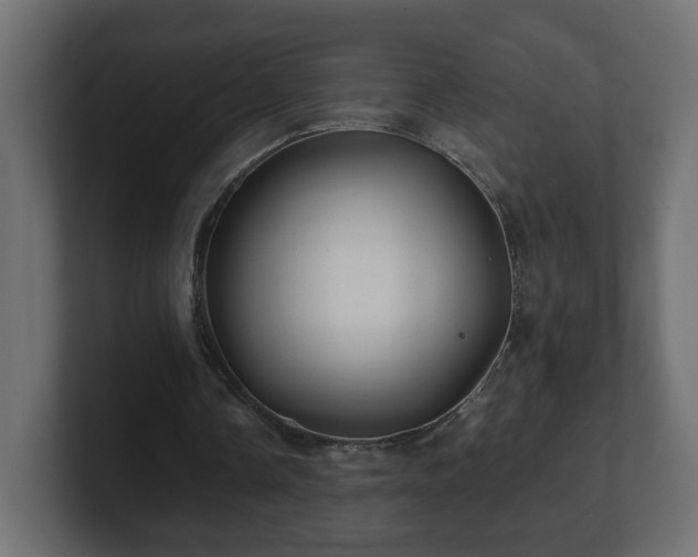 X0000100760338200806261609