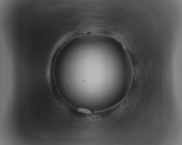 X0000100760340200806261609