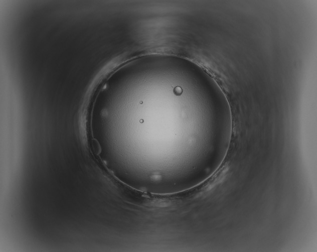 X0000100760341200806261609