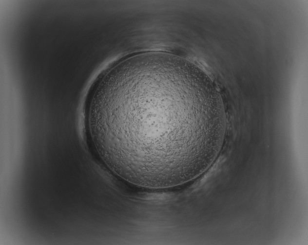 X0000100760342200806261609